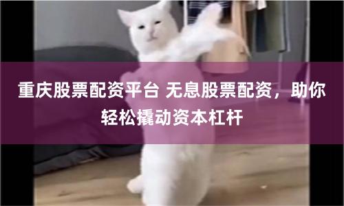 重庆股票配资平台 无息股票配资，助你轻松撬动资本杠杆