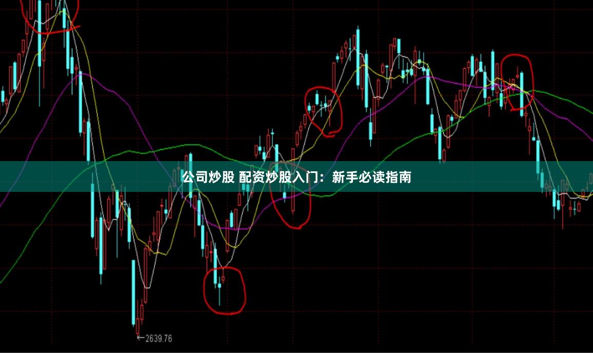 公司炒股 配资炒股入门：新手必读指南