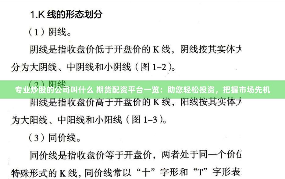 专业炒股的公司叫什么 期货配资平台一览：助您轻松投资，把握市场先机