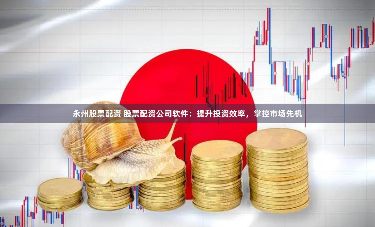 永州股票配资 股票配资公司软件：提升投资效率，掌控市场先机