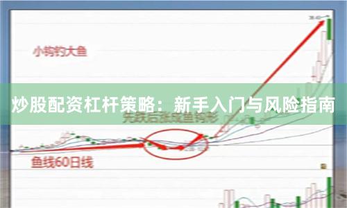 炒股配资杠杆策略：新手入门与风险指南